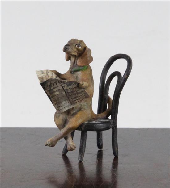 A miniature cold painted bronze model of a seated Dachshund reading a newspaper, in the manner of Franz Bergman, 2in.